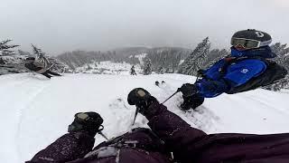 POV - Prime Tree Skiing in Austria