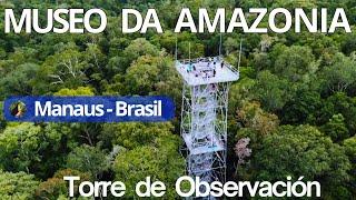 THE TALLEST TOWER IN THE AMAZON in the Jungle / MANAUS - BRAZIL, (MUSA) AMAZON MUSEUM #brazil