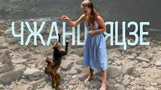 АВАТАРОВЫ ГОРЫ  ЧЖАНЦЗЯЦЗЕ  КИТАЙ | ЧЕМ ЗАНЯТЬСЯ В ПАРКЕ