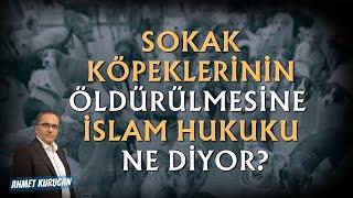 Sokak Köpeklerinin Öldürülmesi ve İslam Hukukundaki Yeri Nedir? |AHMET KURUCAN