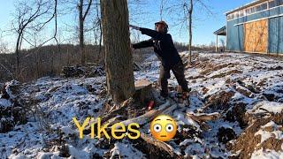TREE FELLING FAIL