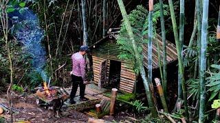 Full video 30 days of building a shelter alone camping survival in the forest