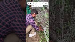 Monitor lizard rescue #viralvideo #wildlife #animals #nature #youtubeshort #youtubevideo