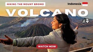 Active VOLCANO in Indonesia | Complete Guide to MOUNT BROMO | Travel in Indonesian Bus | Malang Tour