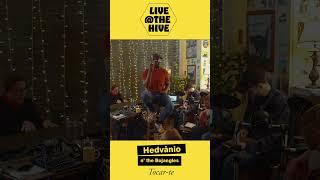 Tocar te - Live at the Hive - Hedvanio and the Bojangles