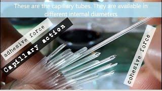 Experiment on Capillary Action or Capillarity using Capillary Tube