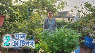 এই দুটো টিপস খুব ভালো করে ফলো করতে পারলে বাগান হবে পরিপূর্ণ।। Only Two Tips for Rooftop Garden ।।