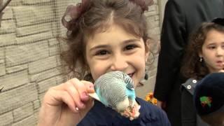 Jewish holidays - Great activities for kids during the Jewish holidays