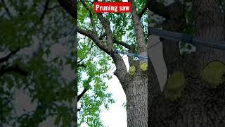 Amazing Pruning saw#shorts #gardentools