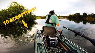 Searching for Large Mouth Bass in a Florida Creek | Saddle Creek | Central Fl