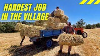 HARVESTING!! | Village life