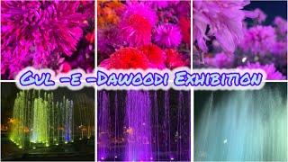 17 December 2024// Part one //Gul -e -Dawoodi Exhibition //Flower Festival Race course Park