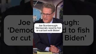 Joe Scarborough: 'Democrats need to fish or cut bait with Biden'