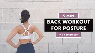 5 min Back Workout for Posture | Exercises to Improve Posture & for a Straight Back