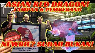 ASIAN RED DRAGON! FASILITASNYA SADIS UNTUK PEMAIN BARU!