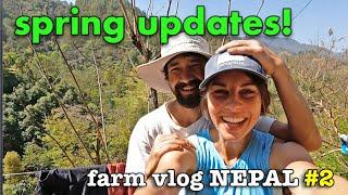 Spring Updates from our Farm in Nepal | rammed earth, tree planting, and more! Nepal Farm Vlog #2