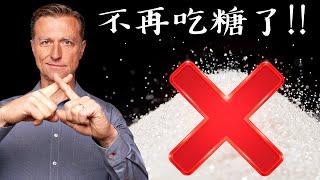 不再吃糖了!等你看完這影片,柏格醫生 Dr Berg