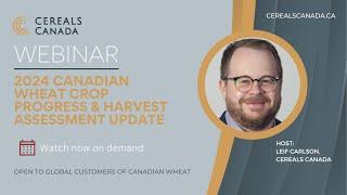 2024 Canadian Wheat Crop Progress and Harvest Assessment Update