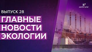 Новости экологии: лесопользование, определение класса ОПО, базовые ставки экологического сбора и др.