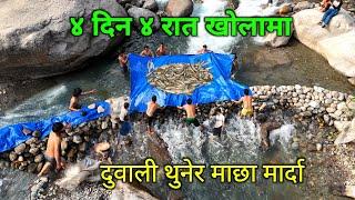 खोलाको किनारमा ४ दिन ४ रात | दुवाली थुनेर माछा मार्दा यतिधेरै माछा | Traditional fishing in nepal