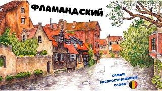 Фламандский (нидерландский) самые распространённые слова / Flemisch