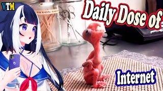 Shylily Reacts To Daily Dose of Internet | Daily Dose Shylily