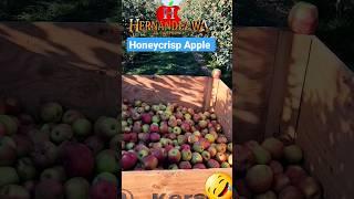 #manzaneros #washington #apple #honeycrisp