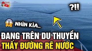 Ra khơi 'CÂU CÁ', nhóm người 'SỢ XANH MẶT' khi nhìn thấy có thứ 'RẼ NƯỚC' tiến lại gần | Tin 3 Phút