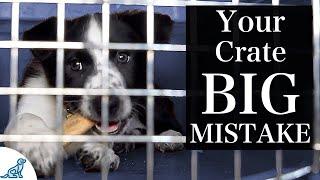 The BIGGEST Mistake People Make With Crate Training A Puppy