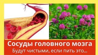 Сосуды головного мозга будут чистыми, если принимать это.  Домашний лечебник