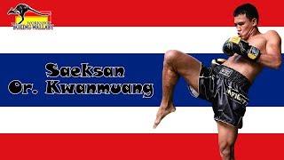 Saeksan Or. Kwanmuang "Devastating Knees and Bold Elbows" Highlight