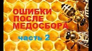 Осенняя ревизия пчёл. Грубые ошибки пчеловода. Рано сократил - семью погубил....