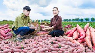 Harvest Sweet Potatoes, Cauliflower, Red Radish and Pineapple | Hoa and Thai