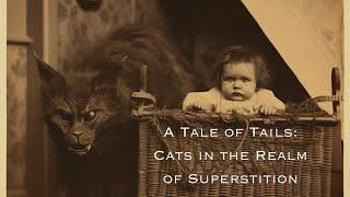 A Tale of Tails: Cats in the Realm of Superstition