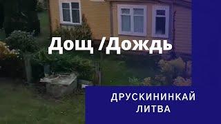   Музыка дождя/ Music of the rain