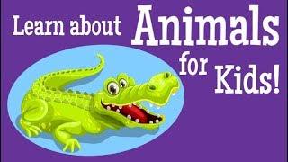 Learn about Animals for Kids!