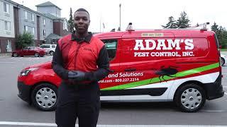 A Day in the Life of a Pest Control Technician