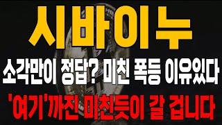 코인 [시바이누] 시바이누 코인분석! 소각만이 정답?! 미친 폭등 이유있다 '여기'까진 미친듯이 갈 겁니다