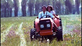 Деревенский парень (комедия с Р.Поццетто, Италия, 1984)