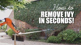 Ultimate Ivy Removal HACK!  #shorts
