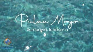 MASDARWIS PULAU MOYO SUMBAWA, INDONESIA