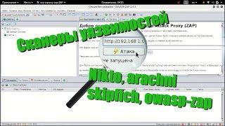 Азы поиска уязвимостей. Зачем нужны сканеры (Nikto, arachni, skipfish, owasp-zap)