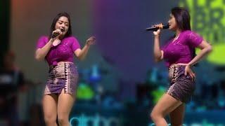 Ojo Nguber Welase #musikcover #dangdut #dj #hiburanjawa #fyp #shorts #shortsvideo