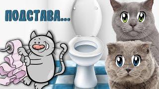 33 Котёнка - СМЕШНОЕ ВИДЕО ПРО КОШЕК ЧЕЛЛЕНДЖ! 33 Kotenka - FUNNY CAT VIDEO