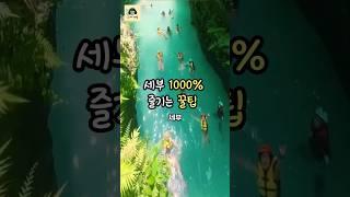 세부 1000% 즐기려면 이곳을 가야 합니다...! #shorts