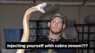 Injecting yourself with cobra venom?!