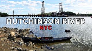 Urban Kayaking: Exploring the Hutchinson River in the Bronx NYC