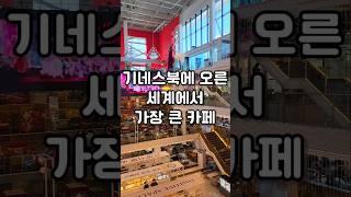 세계에서 가장 큰 카페 | 기네스북에 오른 초대형카페 | 서울근교 대형카페 | 김포카페 추천 | 베이커리카페 | 포지티브 스페이스 566