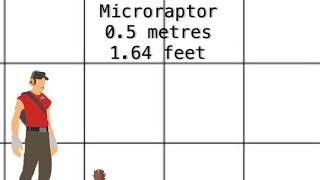 Size comparison of extinct and living animals