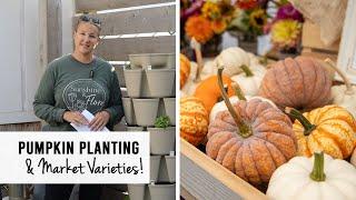 Pumpkin Planting for the Fall Farmer's Markets!  Sunshine and Flora Urban Flower Farm